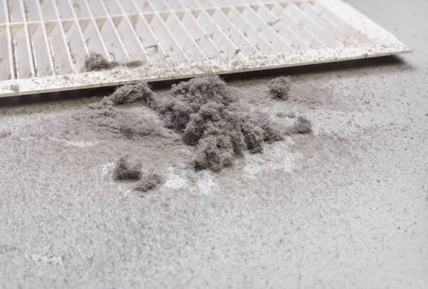 Best Air Vent Cleaning Services  in Coquille, OR