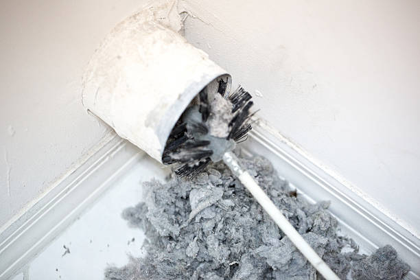Best Local Air Duct Cleaning Services  in Coquille, OR